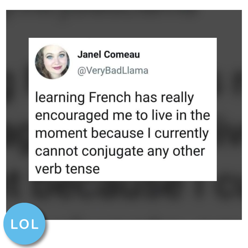 French is one of the most commonly spoken languages in the world, and it's definitely a great skill to have. But if you're like me, and don't have months to devote to learning a new language, here are some tips that can help speed up the process. Bon courage!