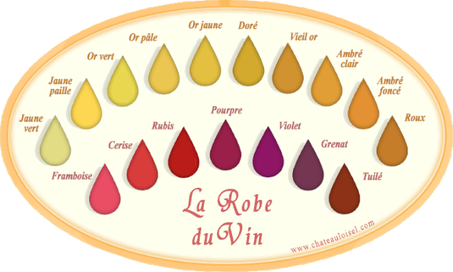 The whole dress of the wines, from white to red.