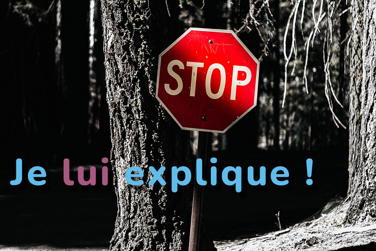 french-indirect-pronouns-lui-leur-blog-learn-french-fun