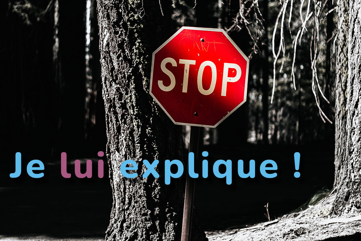 French Indirect Pronouns lui Leur Blog Learn French Fun