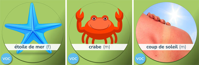 Etoile de mer - crabe - coup de soleil