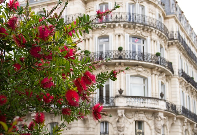 Learn French in Montpellier in south of France