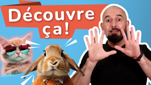 PDF Bonus en français avec 10 expressions idiomatiques sur les animaux, des exercices et la correction